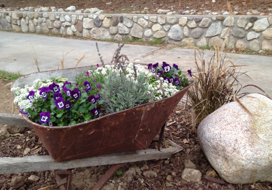 Wheel Barrel Planter